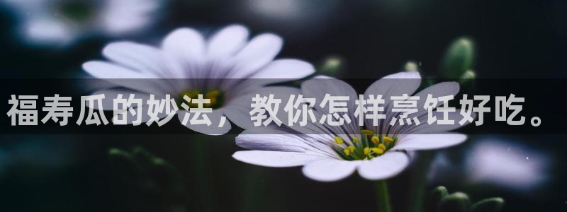 51吃瓜今日大瓜必吃大瓜：福寿瓜的妙法，教你怎样烹饪好吃。