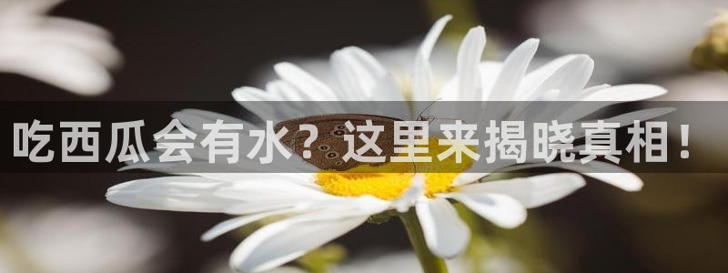 51吃瓜热门吃瓜：吃西瓜会有水？这里来揭晓真相！