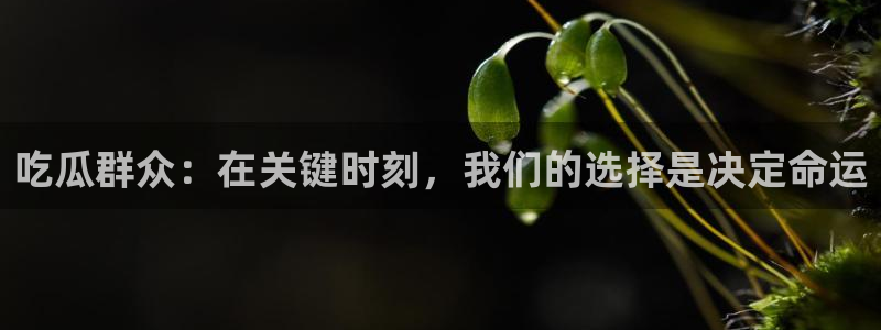 51cg1.ct吃瓜