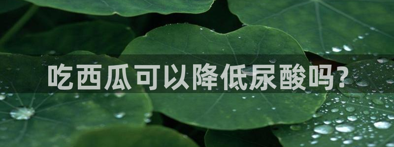 51吃瓜最新官网是多少：吃西瓜可以降低尿酸吗?