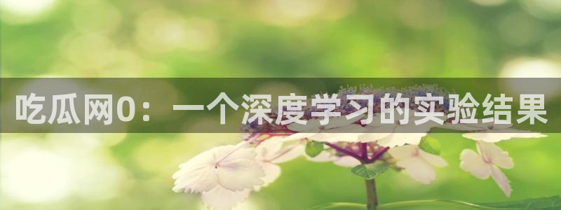 51.cgfun吃瓜：吃瓜网0：一个深度学习的实验结果