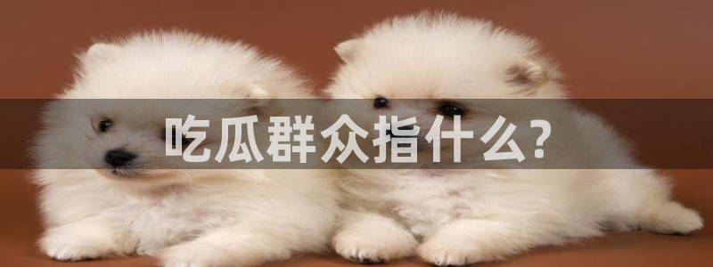 网站吃瓜：吃瓜群众指什么?
